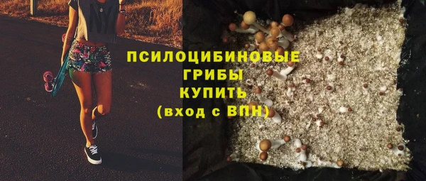 крисы Елизово