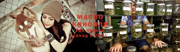 скорость Ельня