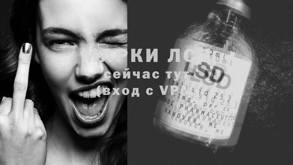 крисы Елизово
